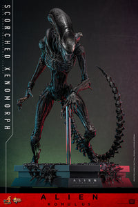 Alien Romulus: Scorched Xenomorph - 1/6 Scale Figure