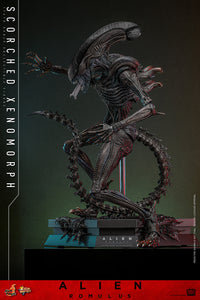 Alien Romulus: Scorched Xenomorph - 1/6 Scale Figure