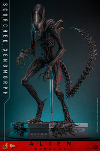 Alien Romulus: Scorched Xenomorph - 1/6 Scale Figure