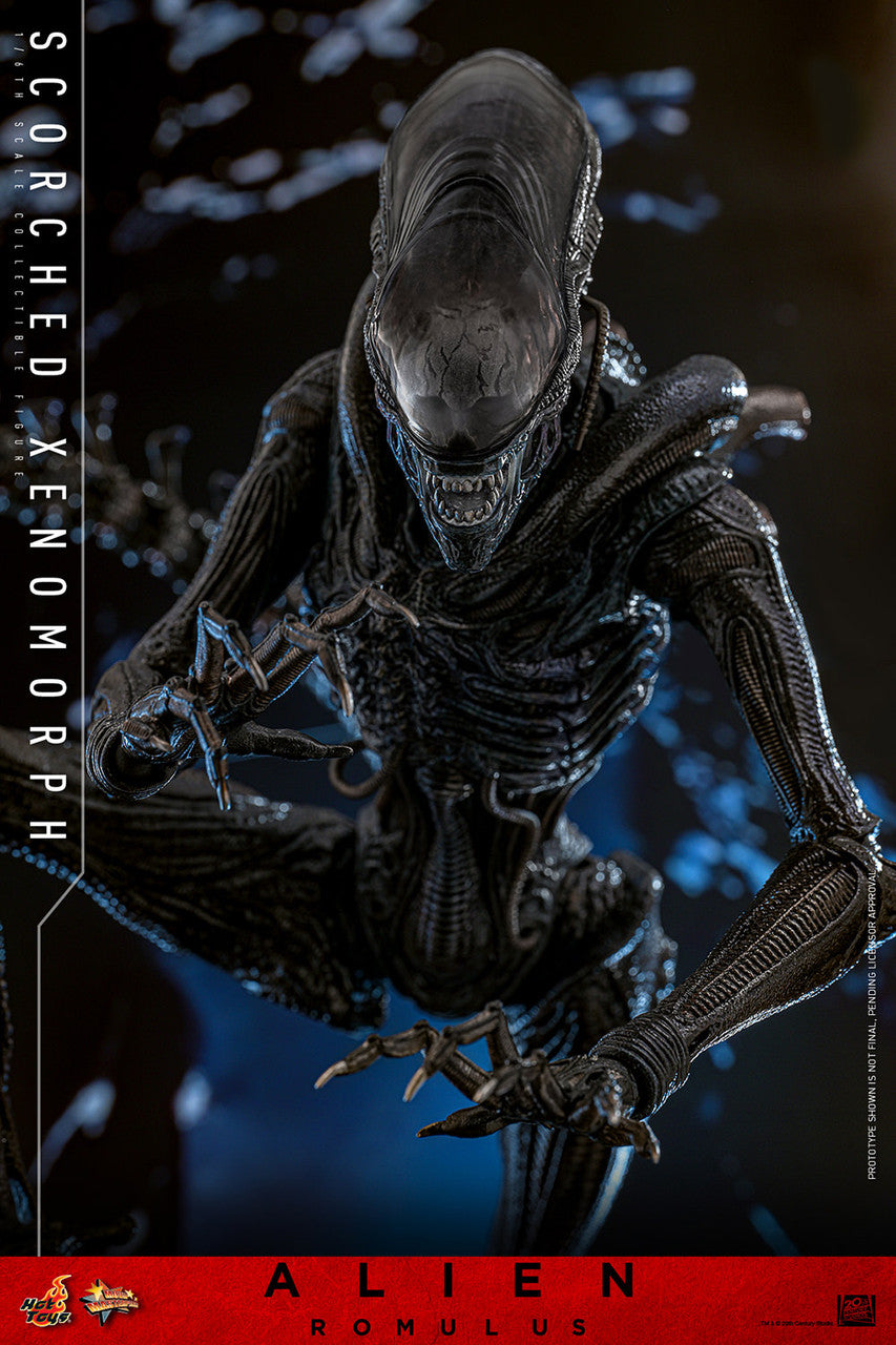 Alien Romulus: Scorched Xenomorph - 1/6 Scale Figure