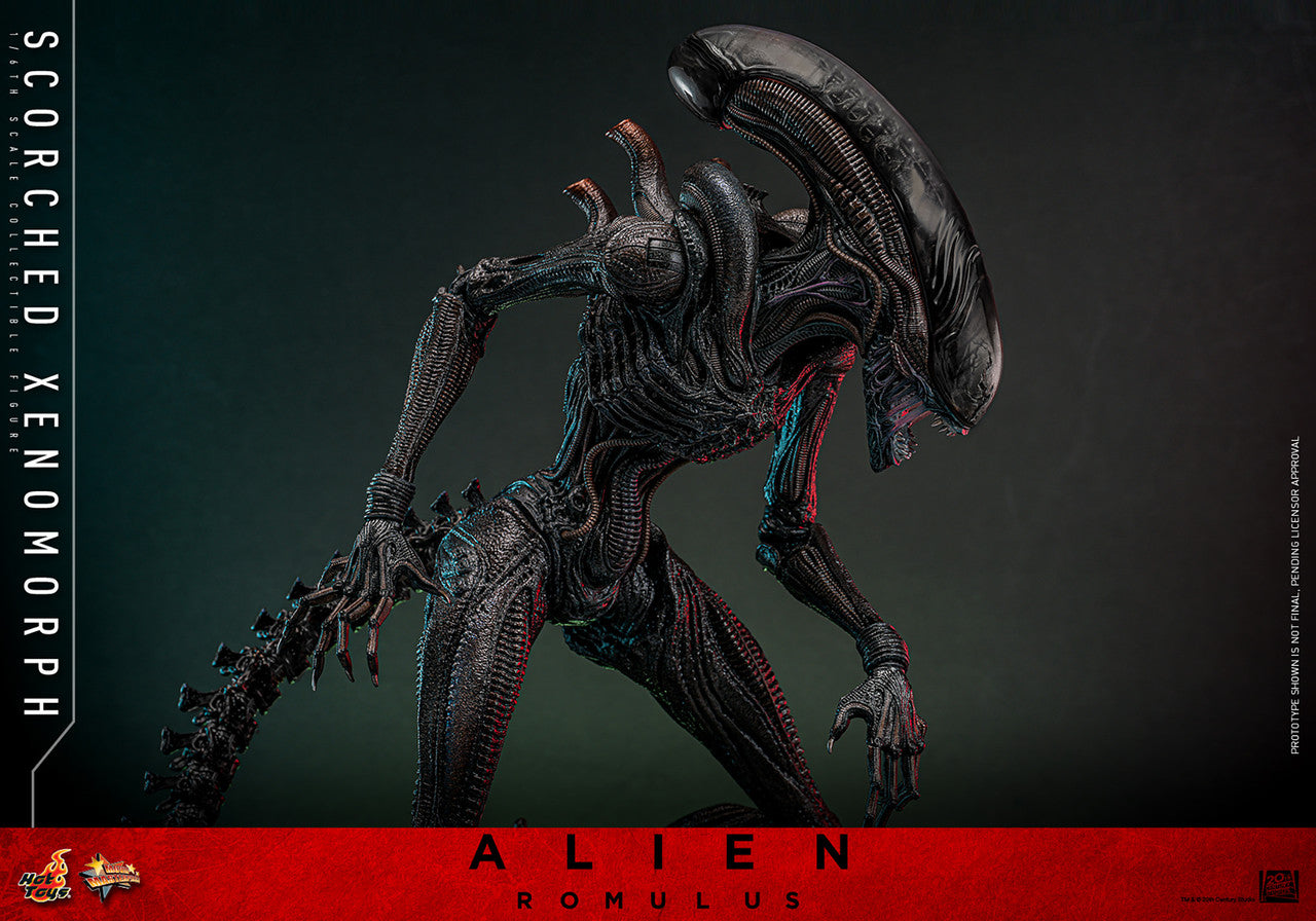 Alien Romulus: Scorched Xenomorph - 1/6 Scale Figure