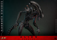 Alien Romulus: Scorched Xenomorph - 1/6 Scale Figure