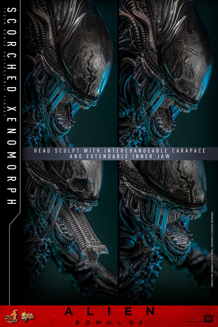 Alien Romulus: Scorched Xenomorph - 1/6 Scale Figure