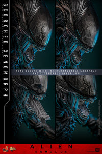 Alien Romulus: Scorched Xenomorph - 1/6 Scale Figure