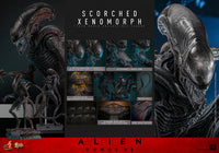 Alien Romulus: Scorched Xenomorph - 1/6 Scale Figure