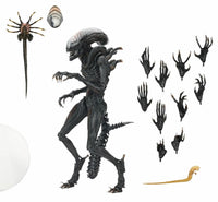 NECA Alien: Romulus - Ultimate Scorched Xenomorph - 7" Scale Figure