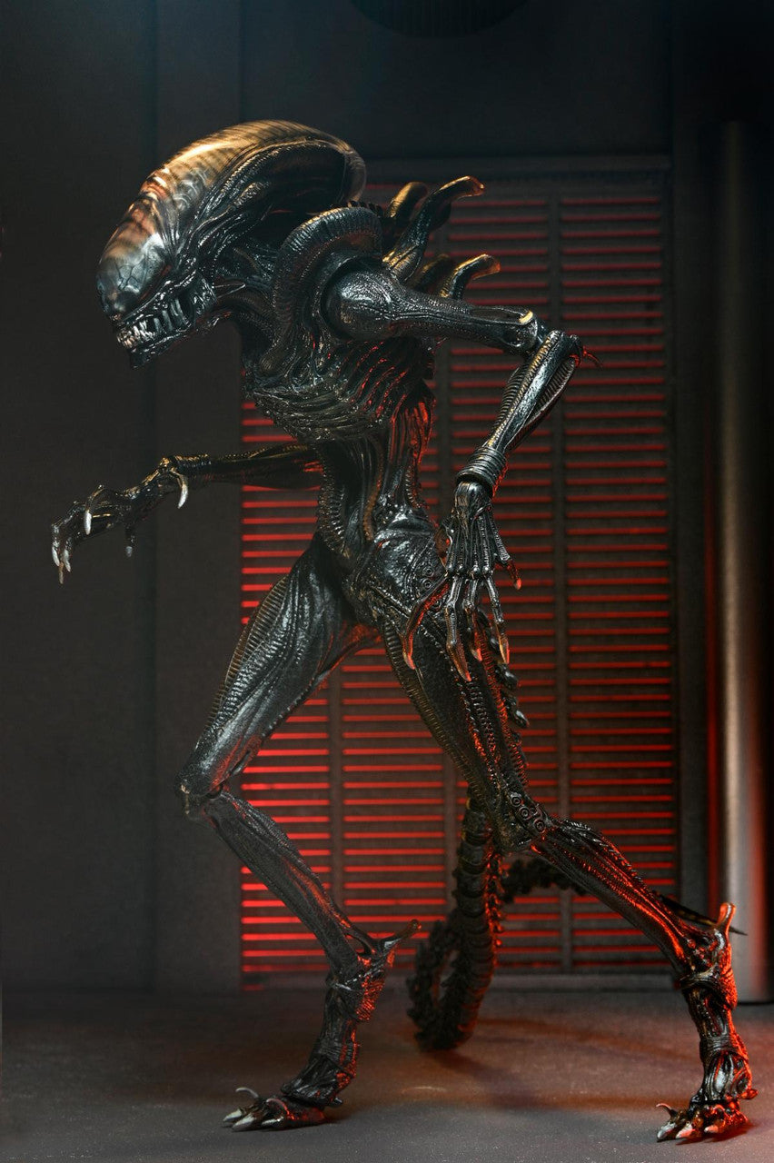 NECA Alien: Romulus - Ultimate Scorched Xenomorph - 7" Scale Figure