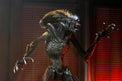 NECA Alien: Romulus - Ultimate Scorched Xenomorph - 7" Scale Figure