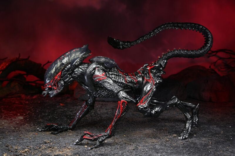 Kenner Tribute: Ultimate Night Cougar Alien - 7″ Scale