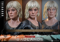 Predator: Badlands - Thia & Bud - 1/6 Scale Figure Set (Pre-Order) - Hot Toys