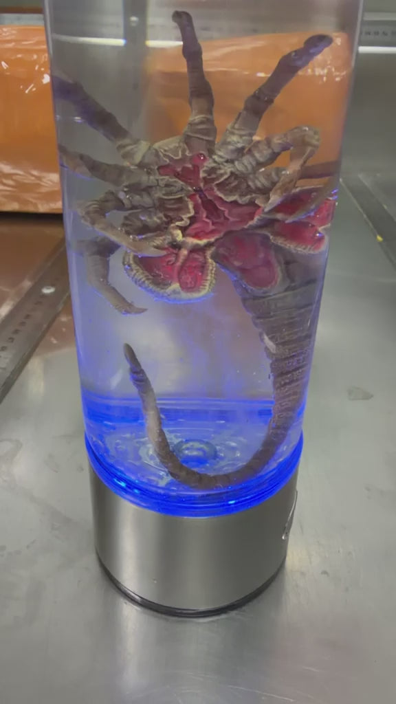 Alien Facehugger - Light Up Specimen Jar
