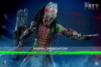 Prey: Battle Damaged Feral Predator - 1/6 Scale Figure (Pre-Order) - Hot Toys