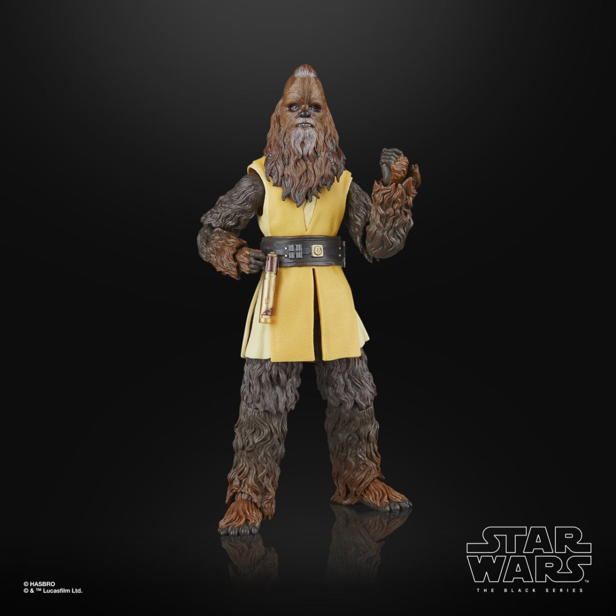 Star Wars The Black Series: Jedi Master Kelnacca - 6