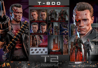 Terminator 2: T - 800 (Battle Damaged Version 2.0) - 1/6 Scale Figure (Pre - Order) - Hot Toys