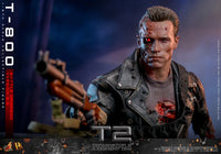Terminator 2: T - 800 (Battle Damaged Version 2.0) - 1/6 Scale Figure (Pre - Order) - Hot Toys