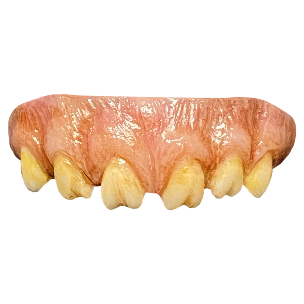 The Texas Chainsaw Massacre (1974) - Leatherface Teeth - Trick or Treat Studios