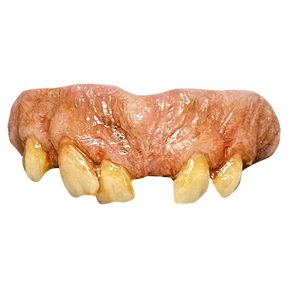 The Texas Chainsaw Massacre (Part 2) - Leatherface Teeth - Trick or Treat Studios