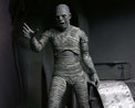 Universal Monsters: Ultimate Mummy (Black and White) - 7” Scale Action Figure - The Last Toy Store