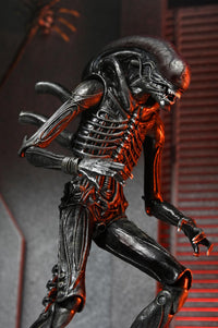 Alien Romulus: Ultimate Xenomorph XX121 - 7" Scale Figure