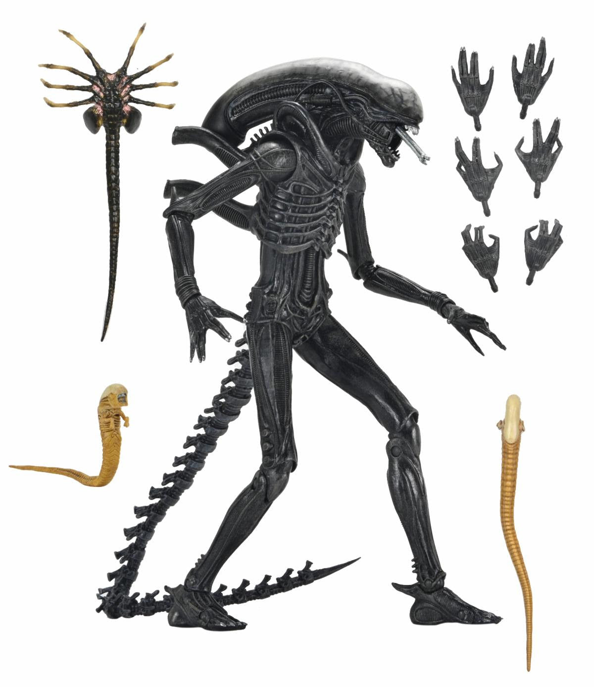 Alien Romulus: Ultimate Xenomorph XX121 - 7" Scale Figure