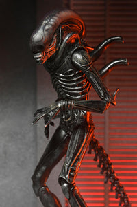 Alien Romulus: Ultimate Xenomorph XX121 - 7" Scale Figure