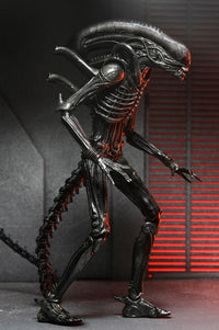 Alien Romulus: Ultimate Xenomorph XX121 - 7" Scale Figure